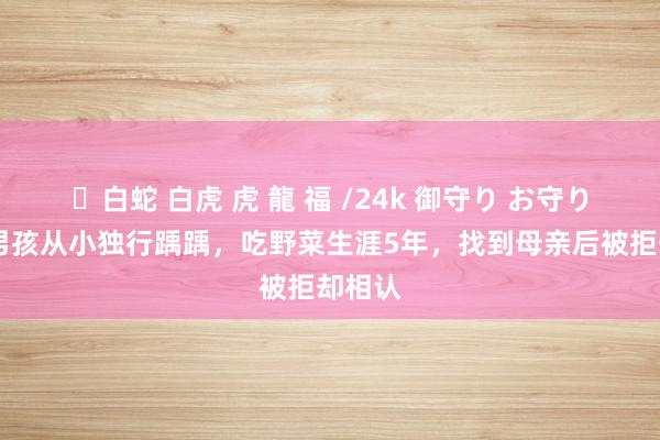 ✨白蛇 白虎 虎 龍 福 /24k 御守り お守り 广西男孩从小独行踽踽，吃野菜生涯5年，找到母亲后被拒却相认