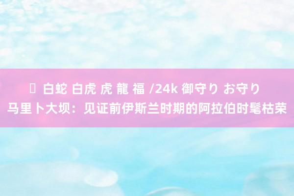 ✨白蛇 白虎 虎 龍 福 /24k 御守り お守り 马里卜大坝：见证前伊斯兰时期的阿拉伯时髦枯荣