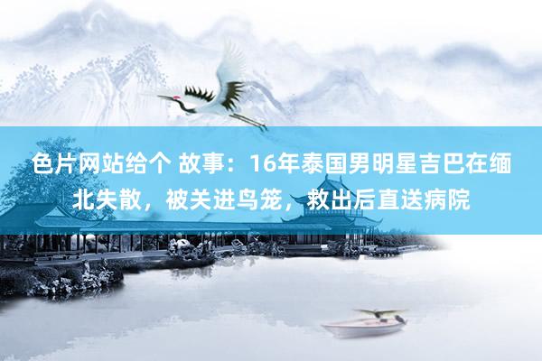 色片网站给个 故事：16年泰国男明星吉巴在缅北失散，被关进鸟笼，救出后直送病院