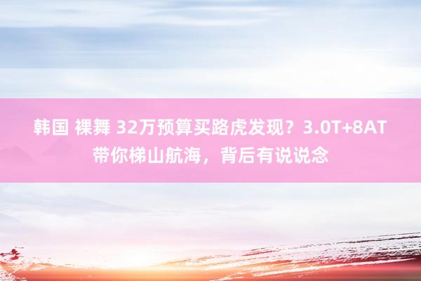 韩国 裸舞 32万预算买路虎发现？3.0T+8AT带你梯山航海，背后有说说念