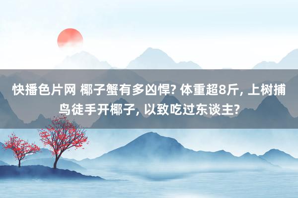 快播色片网 椰子蟹有多凶悍? 体重超8斤, 上树捕鸟徒手开椰子, 以致吃过东谈主?