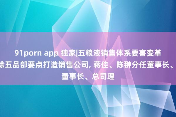 91porn app 独家|五粮液销售体系要害变革: 拟肃除五品部要点打造销售公司, 蒋佳、陈翀分任董事长、总司理