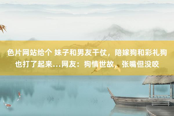 色片网站给个 妹子和男友干仗，陪嫁狗和彩礼狗也打了起来…网友：狗情世故，张嘴但没咬
