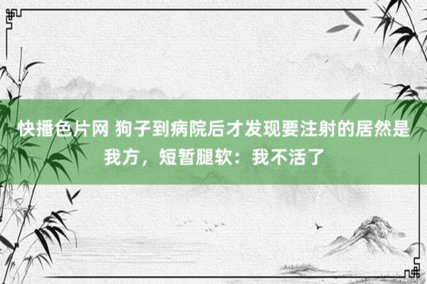 快播色片网 狗子到病院后才发现要注射的居然是我方，短暂腿软：我不活了