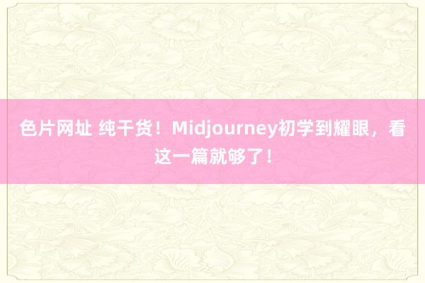 色片网址 纯干货！Midjourney初学到耀眼，看这一篇就够了！